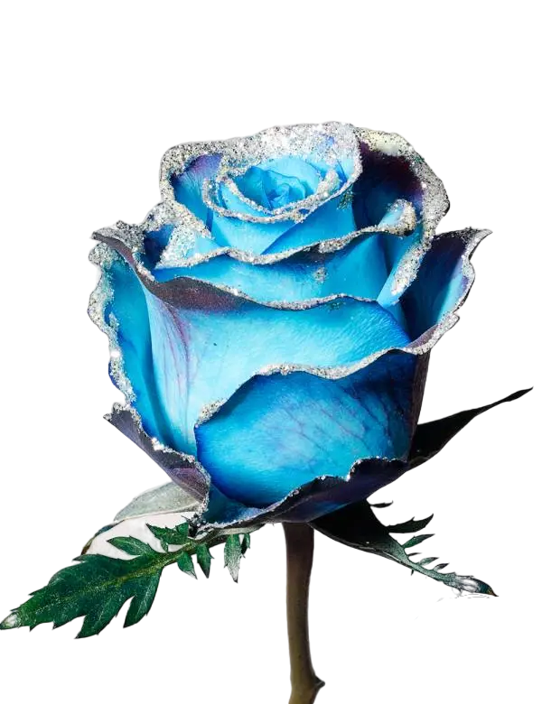 Avatar Silver Frosty - Tinted Rose