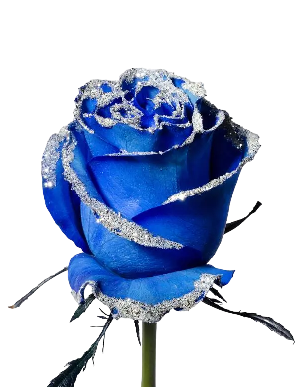 Blue Silver Frosty - Tinted Rose