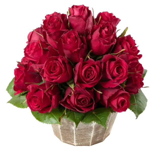 Brave - Hot Pink Rose Bouquet