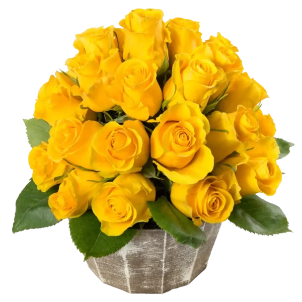 Brighton - Yellow Roses Bouquet