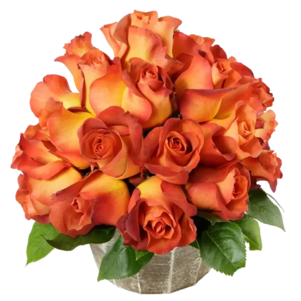 Coffee Break - Orange Rose Bouquet