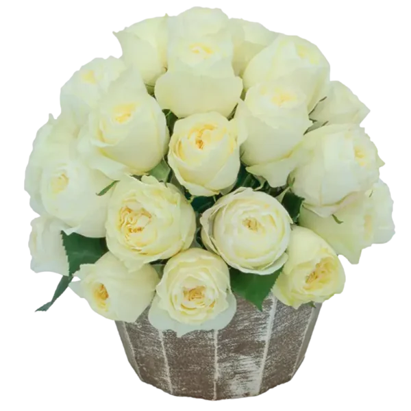 Cold Play - Garden Rose White Bouquet