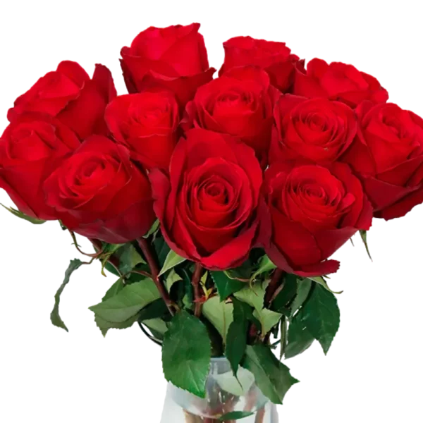 Dallas - Red Rose Bouquet