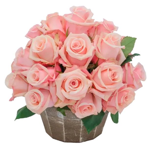 Essential - Pink Roses Bouquet