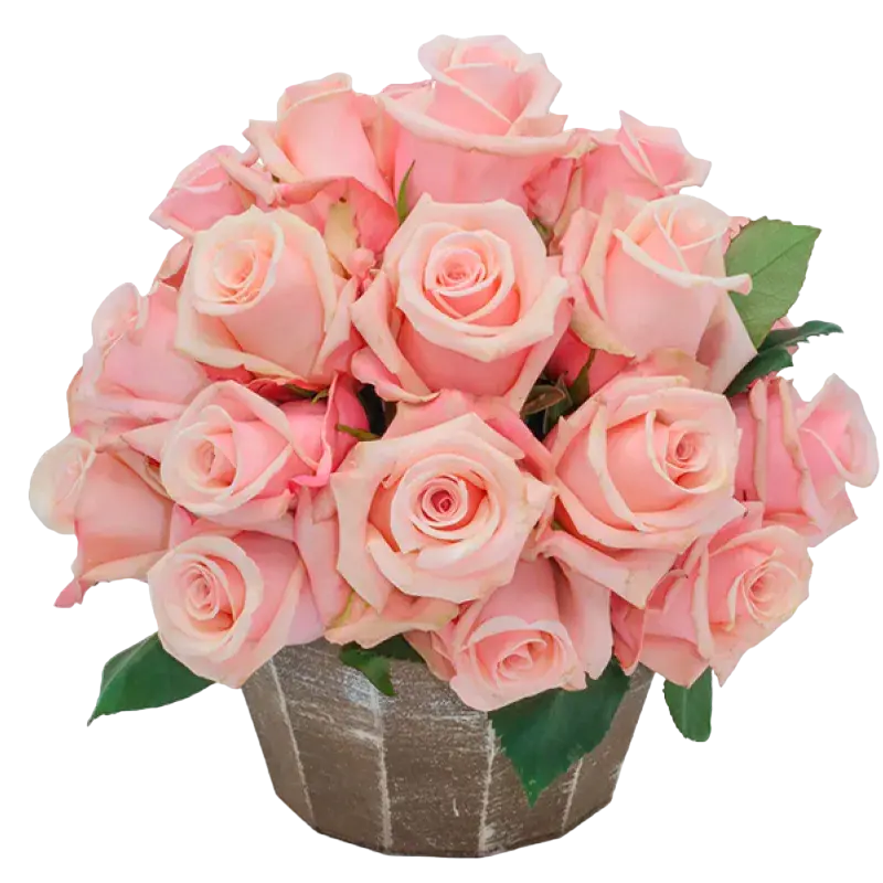 Essential - Pink Roses Bouquet