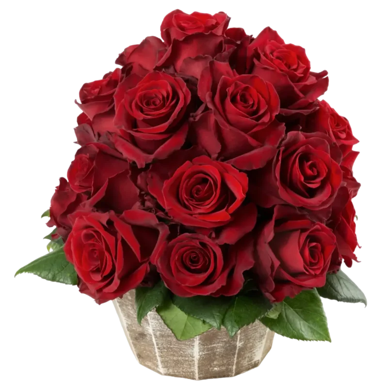 Explorer - Red Rose Bouquet