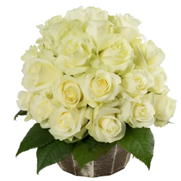 First Lady - White Rose Bouquet