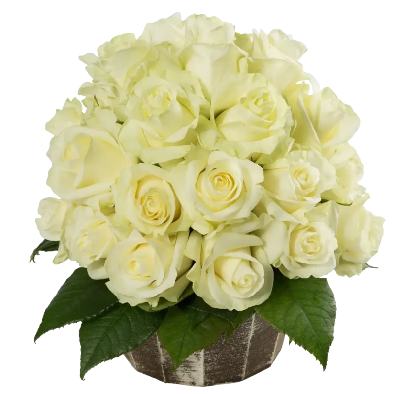 First Lady - White Rose Bouquet