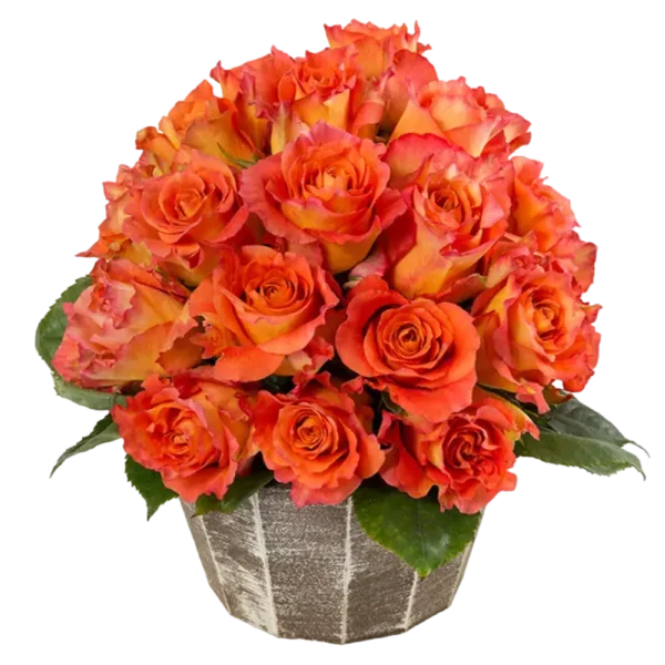 Free Spirit - Garden Rose Orange Bouquet