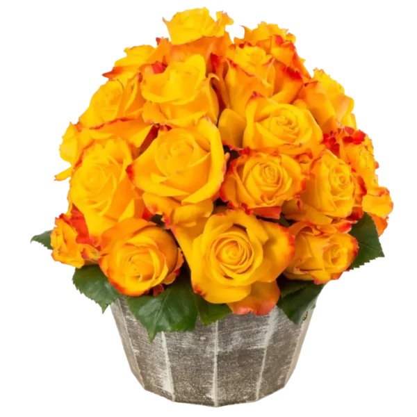 Intense - Yellow Rose Bouquet