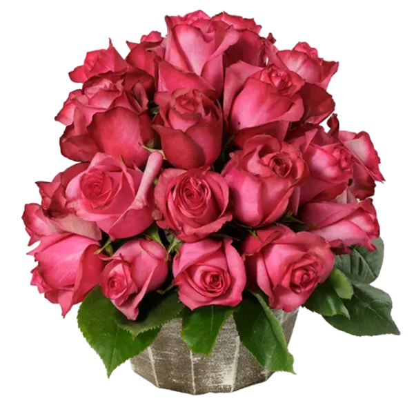 Lola - Hot Pink Rose Bouquet