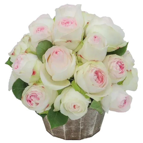 Lorena Summer House - Garden Rose Bicolor Bouquet