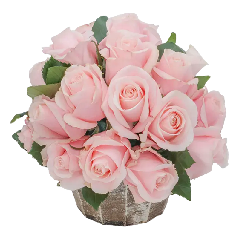 Madonna - Pink Rose Bouquet