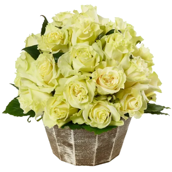 Mondial - White Rose Bouquet