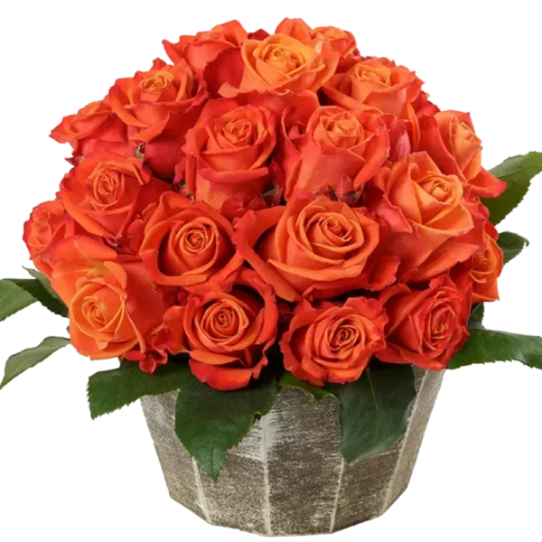 Orange Crush - Orange Rose Bouquet