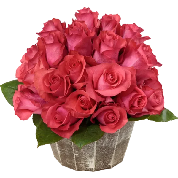 Pink Love - Hot Pink Rose Bouquet