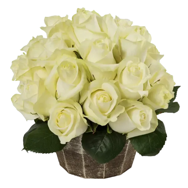 Polar Star - White Roses Bouquet