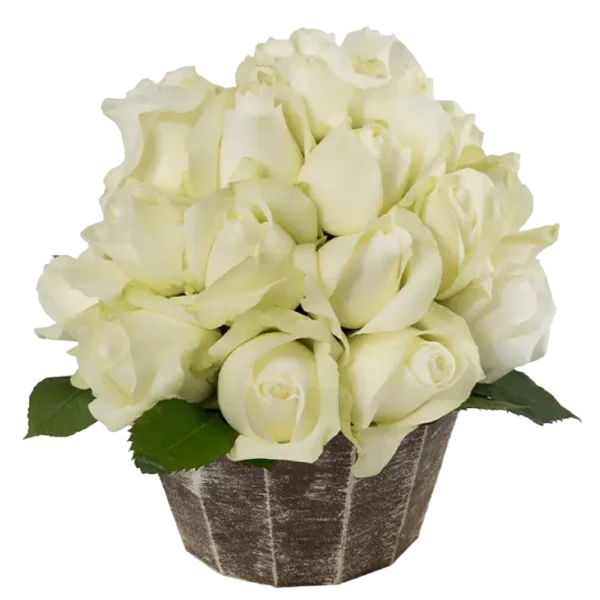 Proud - White Rose Bouquet