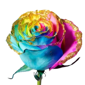 Rainbow Golden Frosty - Tinted Rose