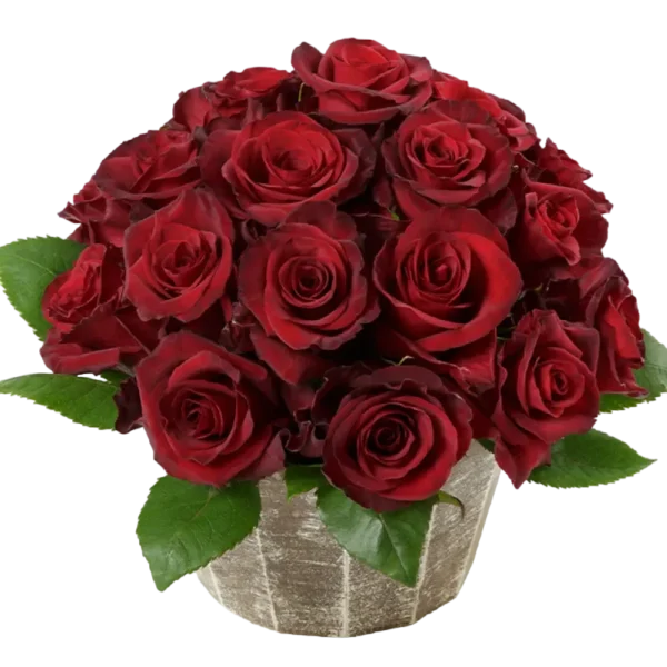 Red Paris - Red Rose Bouquet