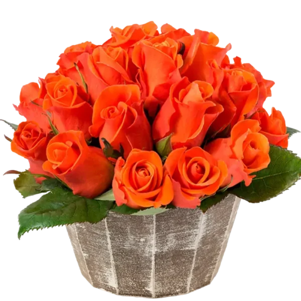 Spritz - Orange Rose Bouquet