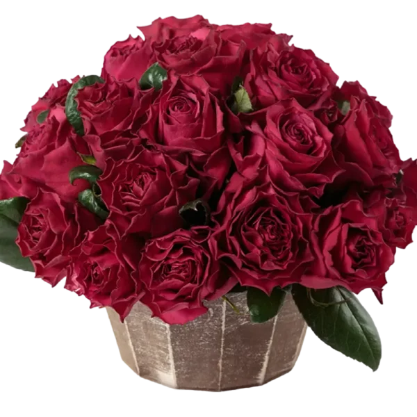 Venturoso - Hot Pink Rose Bouquet