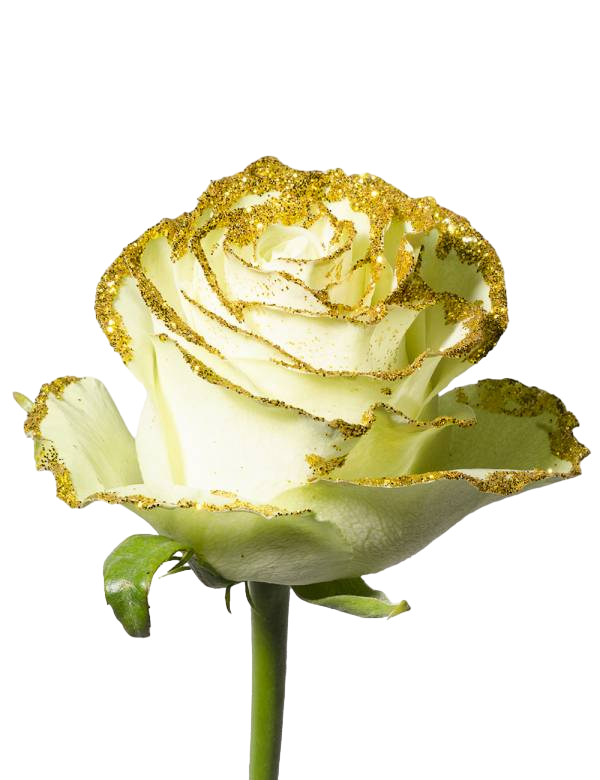 Wasabi Golden Frosty - Tinted Rose