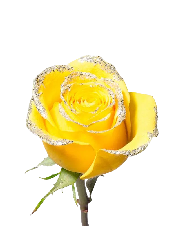 Yellow Silver Frosty - Tinted Rose